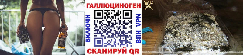 ОМГ ОМГ как зайти  где можно купить   Боровичи  Псилоцибиновые грибы GOLDEN TEACHER 
